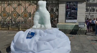 Un orso di ghiaccio in Piazza Castello contro la crisi climatica